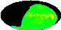 galactic footprint (+footg5.gif)