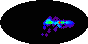 galactic footprint (+footg5.gif)